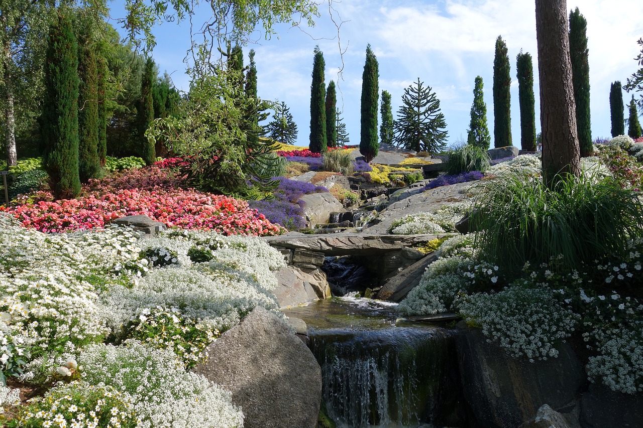 garden  flowers  summer free photo