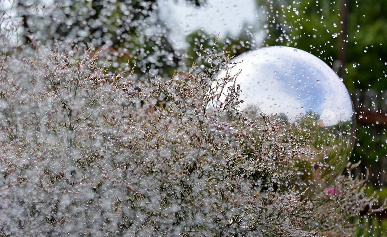 garden  glass ball  mirroring free photo