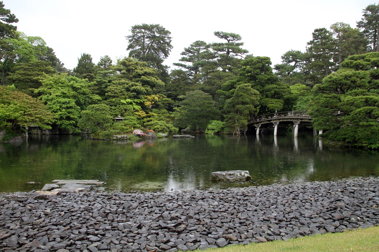 garden  japanese  park free photo