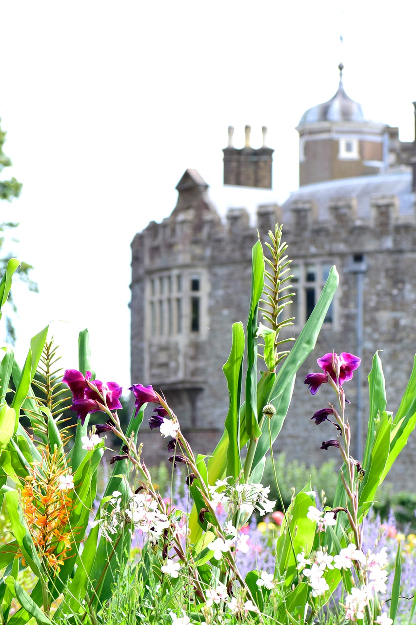 garden  castle  flowers free photo