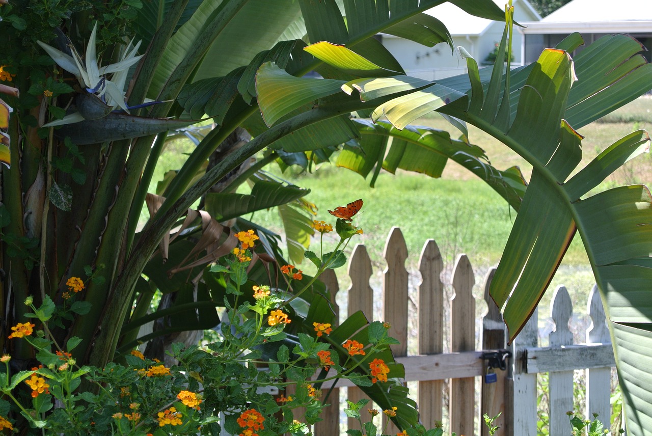 garden  butterfly  fence free photo