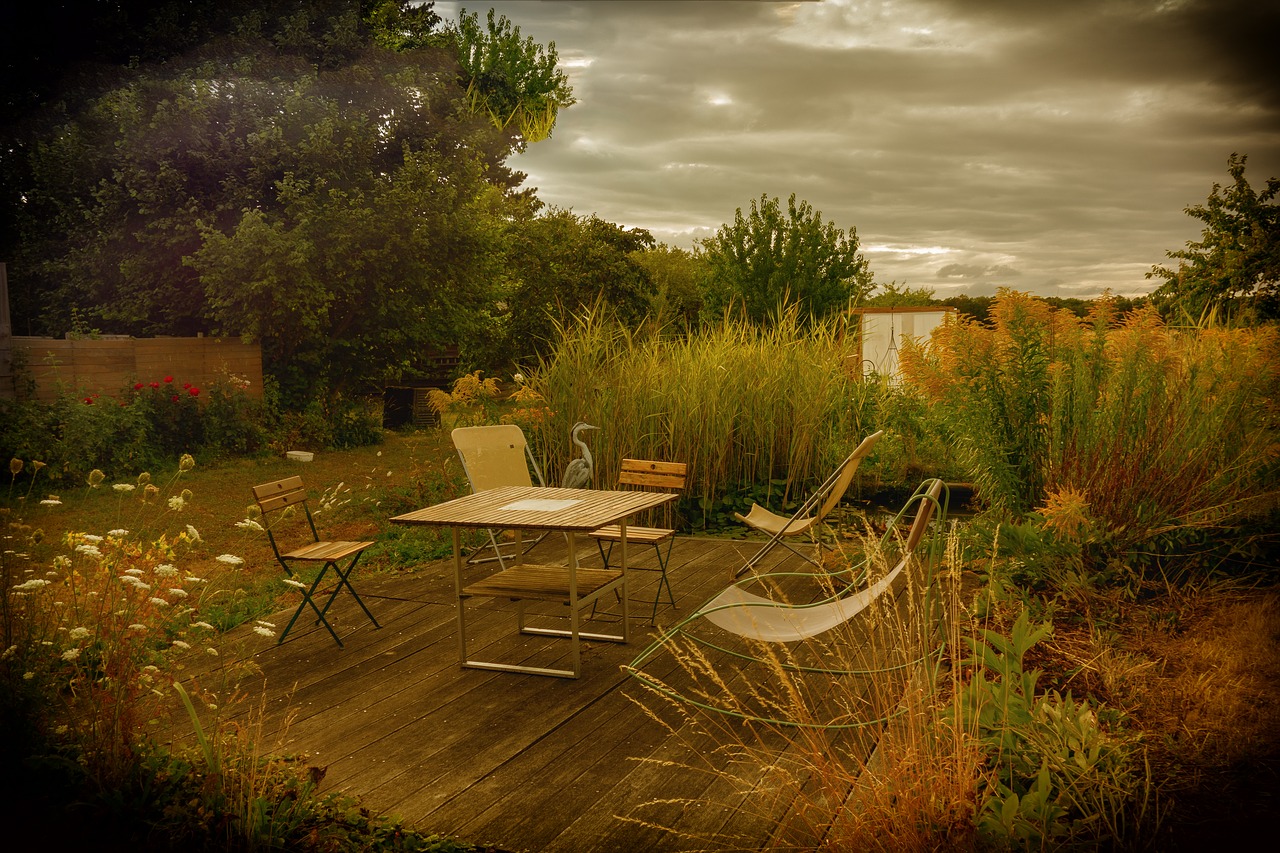 garden  field  calm free photo