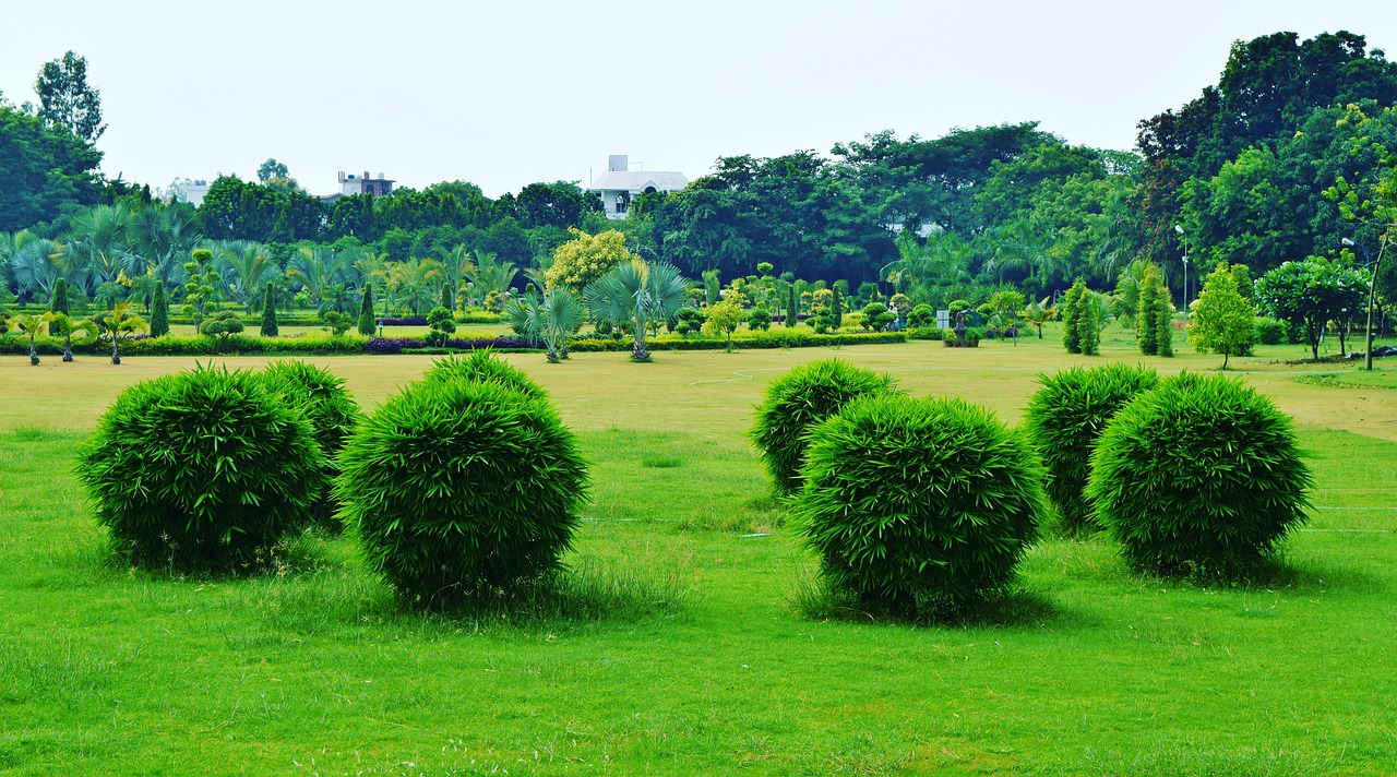 garden  green  nature free photo