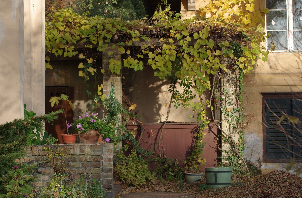 garden  autumn  pergola free photo