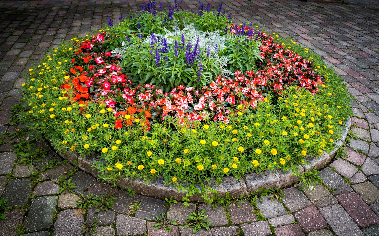 garden flowers plant free photo