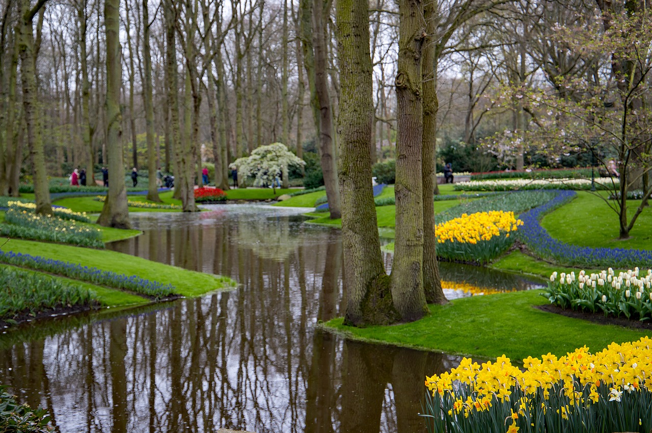 garden  spring  flowers free photo