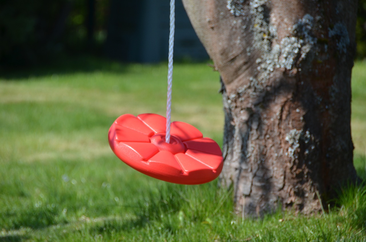 garden  swing  tree free photo