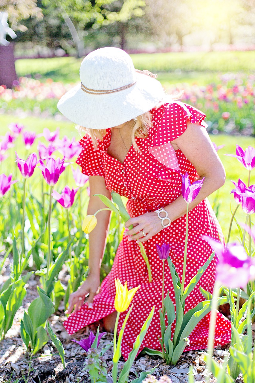 garden  gardening  flowers free photo