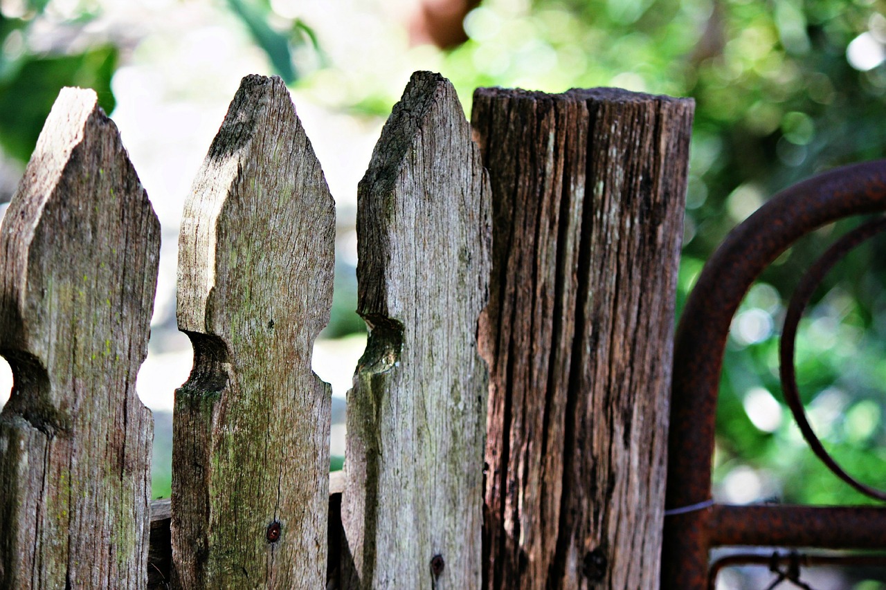 garden fence timber free photo