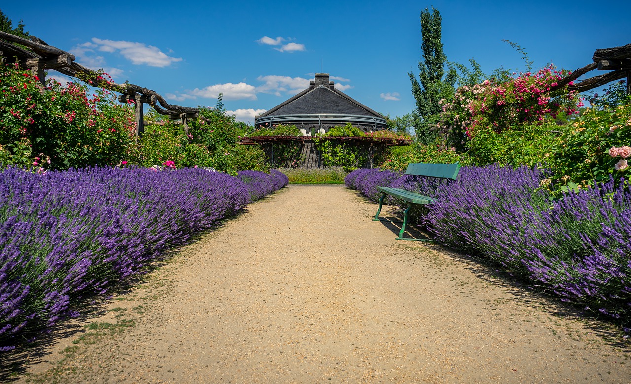 garden  park  rose garden free photo