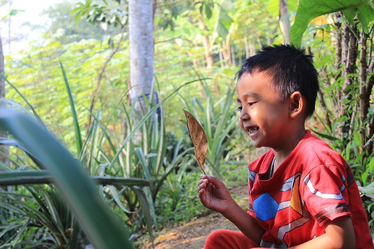 garden  child  leaf free photo