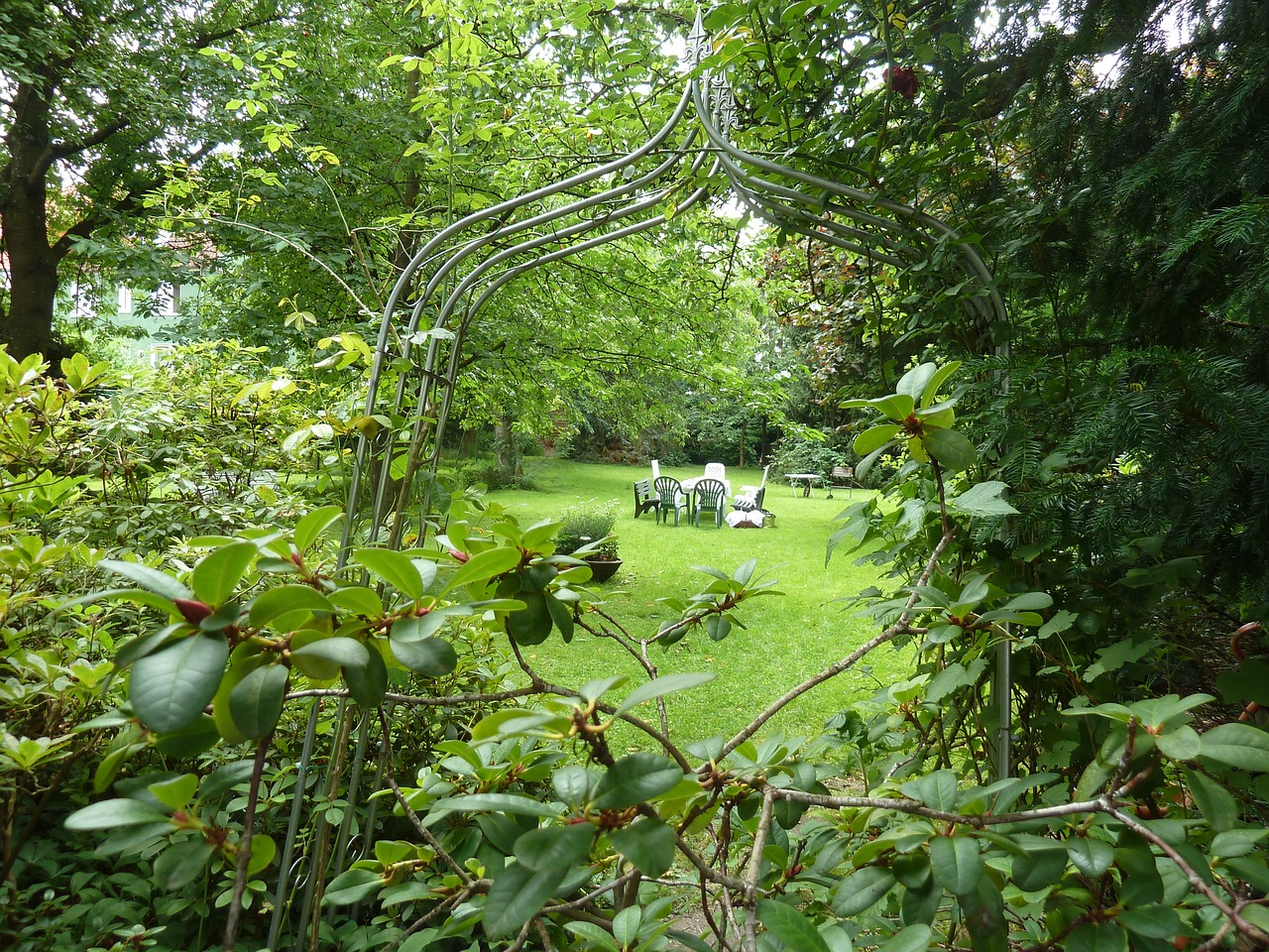 garden in the green meadow free photo