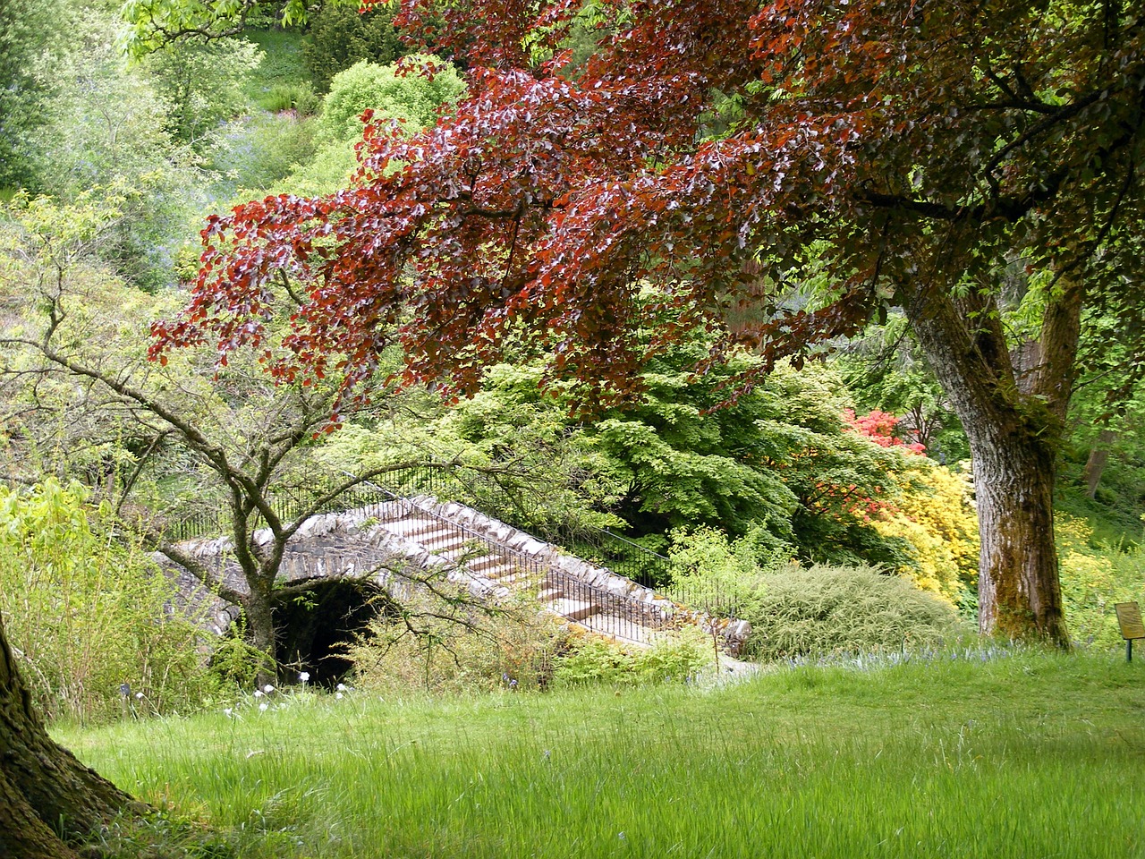 garden vegetation bridge free photo