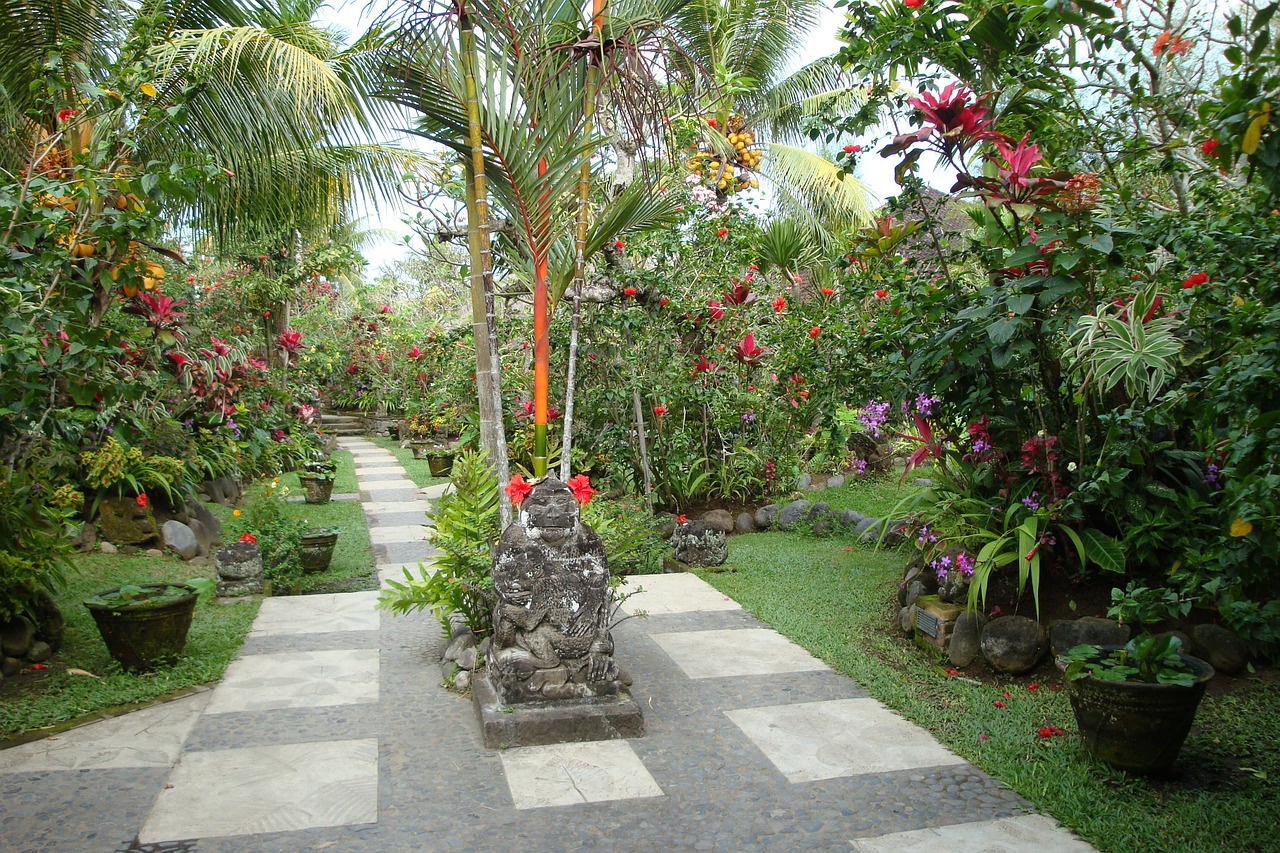 garden tropical bali free photo