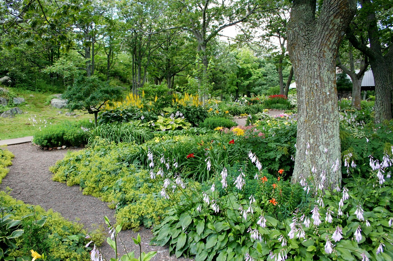 garden path flowers free photo