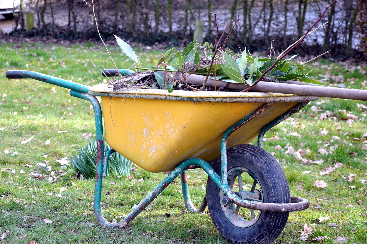 garden wheelbarrow spring free photo