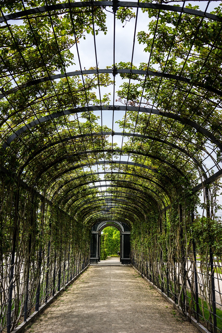 garden schönbrunn austria free photo