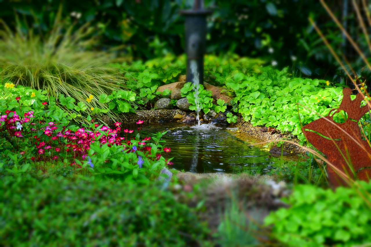 garden water pond free photo