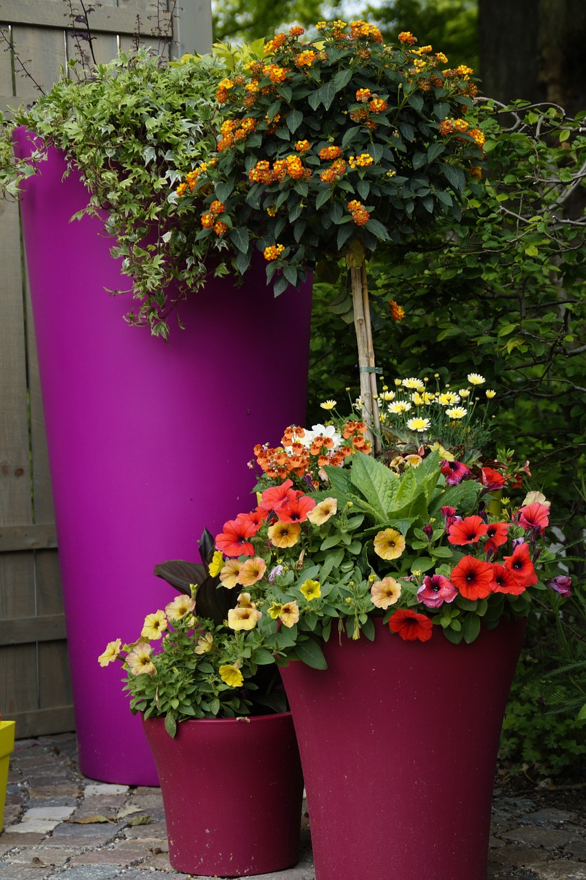 garden flower pots pots free photo