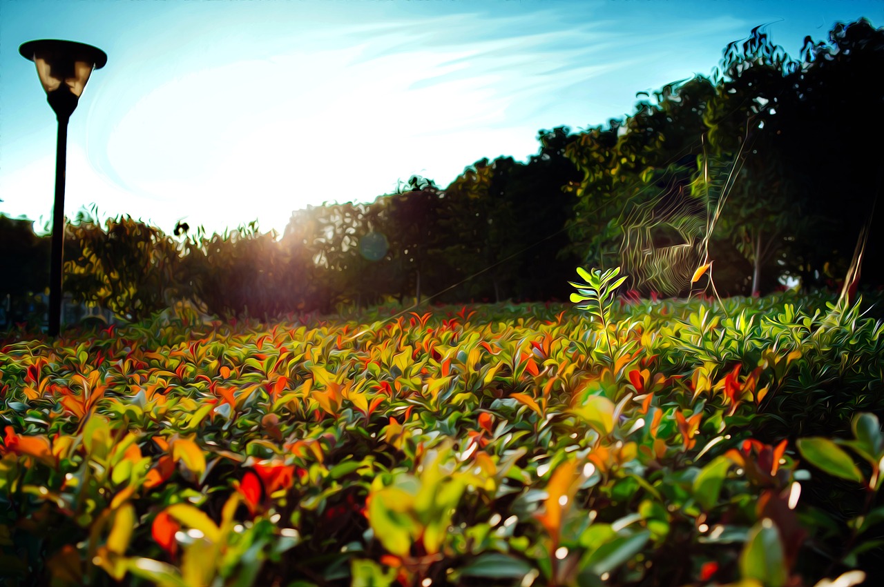 garden the scenery fresh free photo