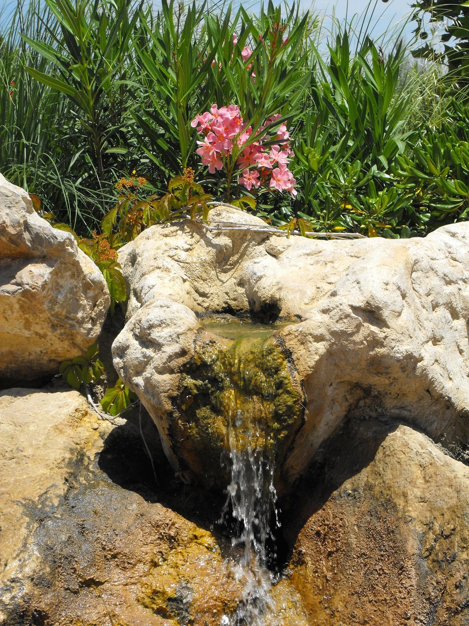 garden fountain water free photo