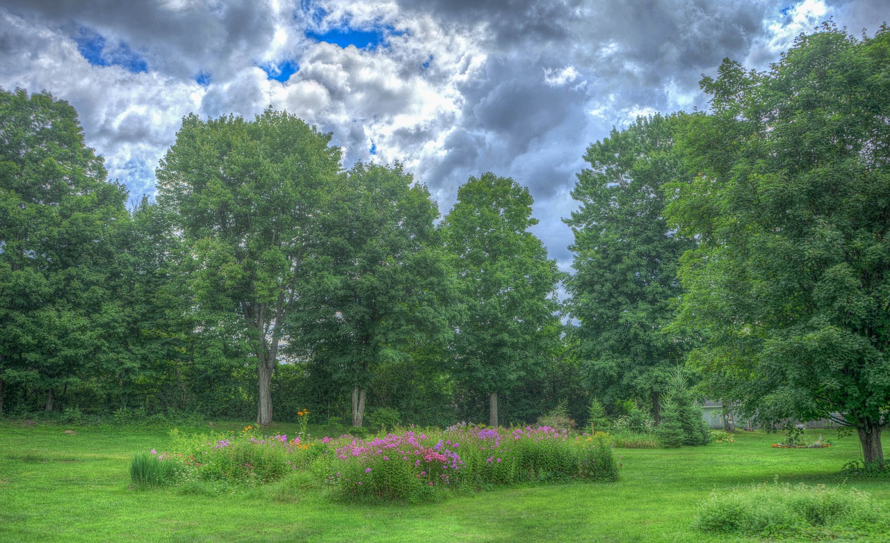 garden landscape summer free photo