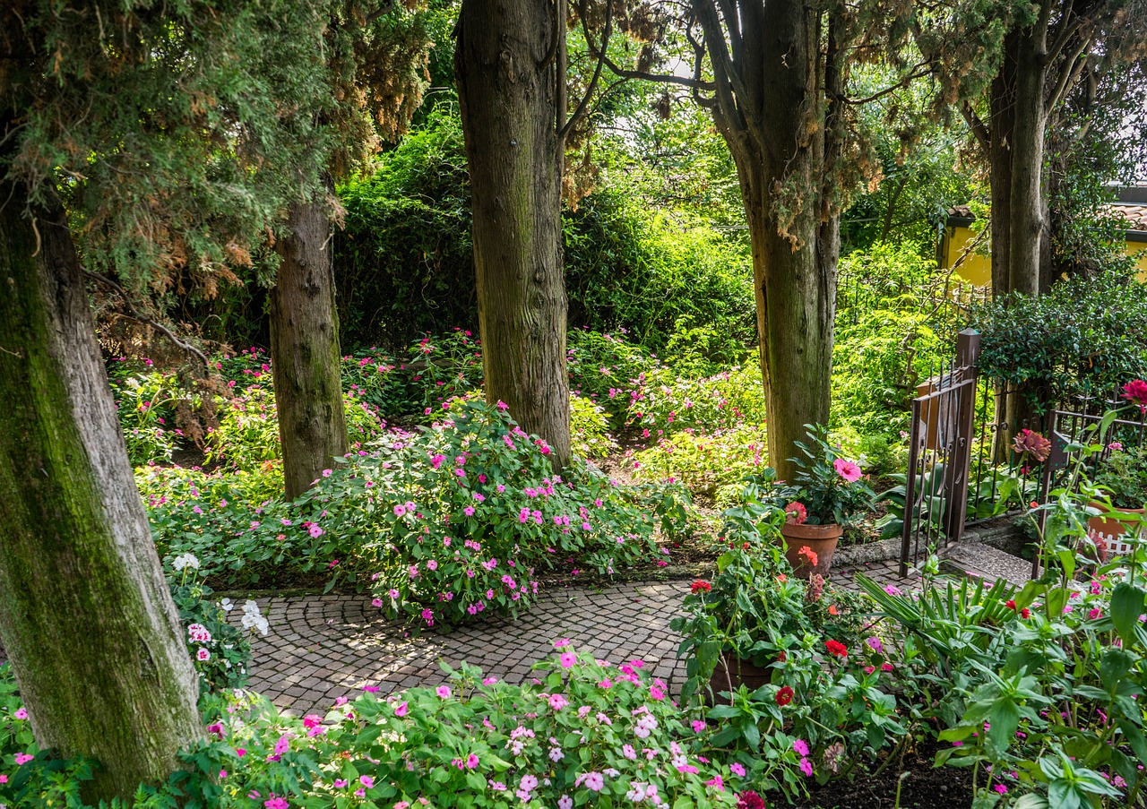 garden flowers forest free photo