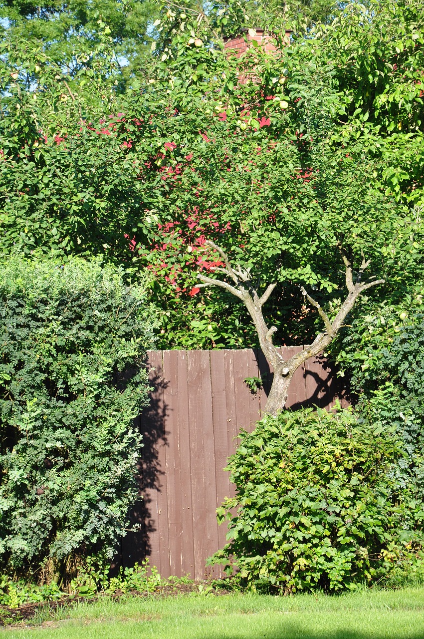 garden gateway gate free photo