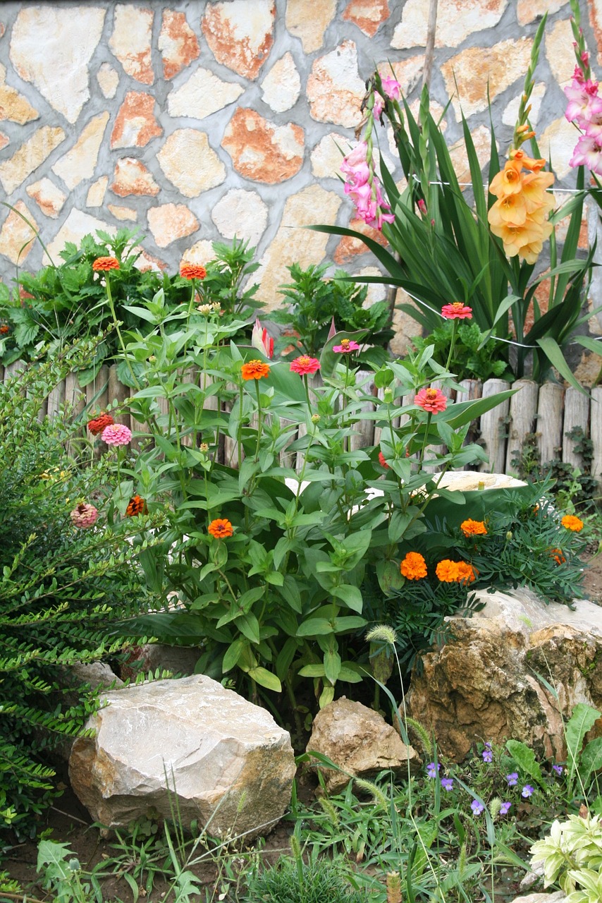 garden plant cliff free photo