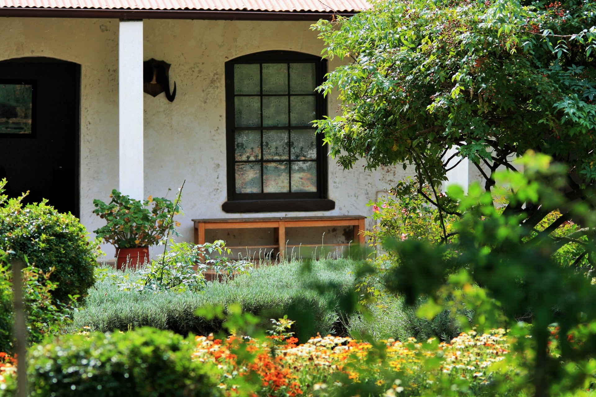 stoop garden flowers free photo