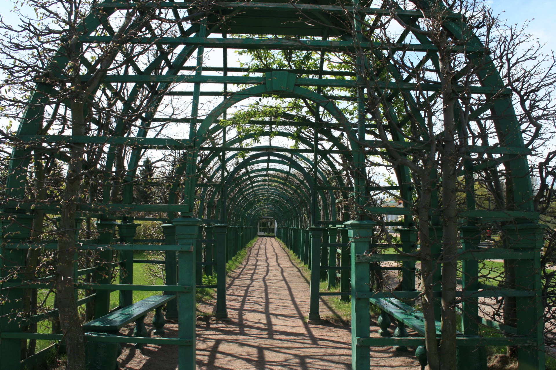 arch path covered free photo