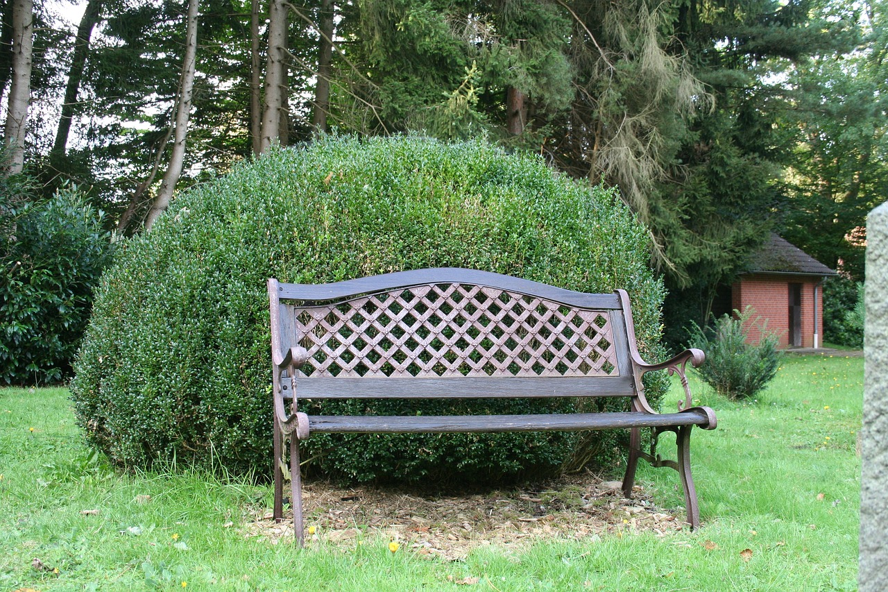 garden bench boxwood bank free photo