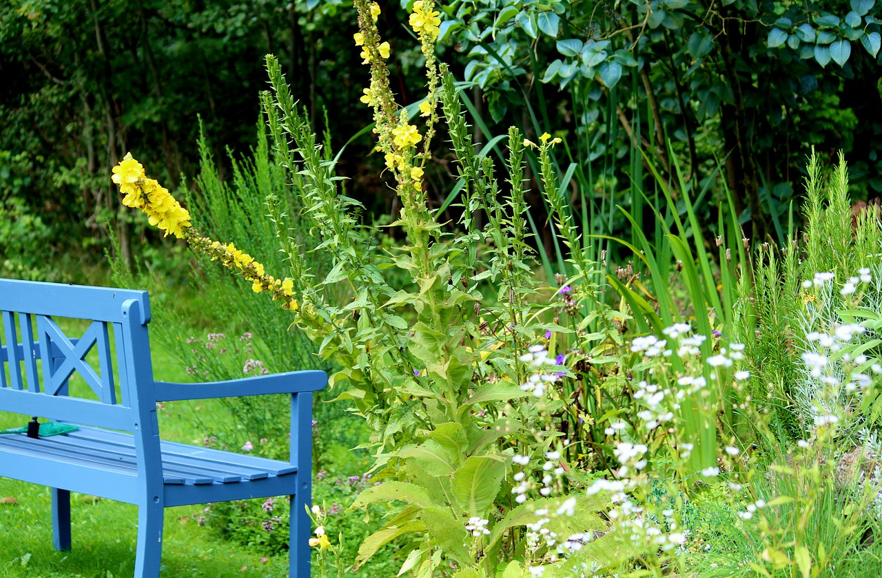 garden bench garden pond plant free photo