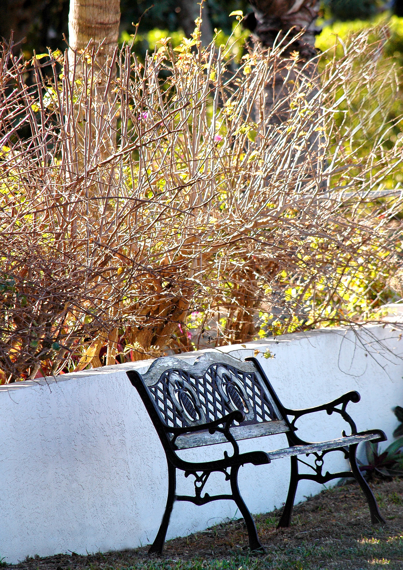 bench garden autumn free photo