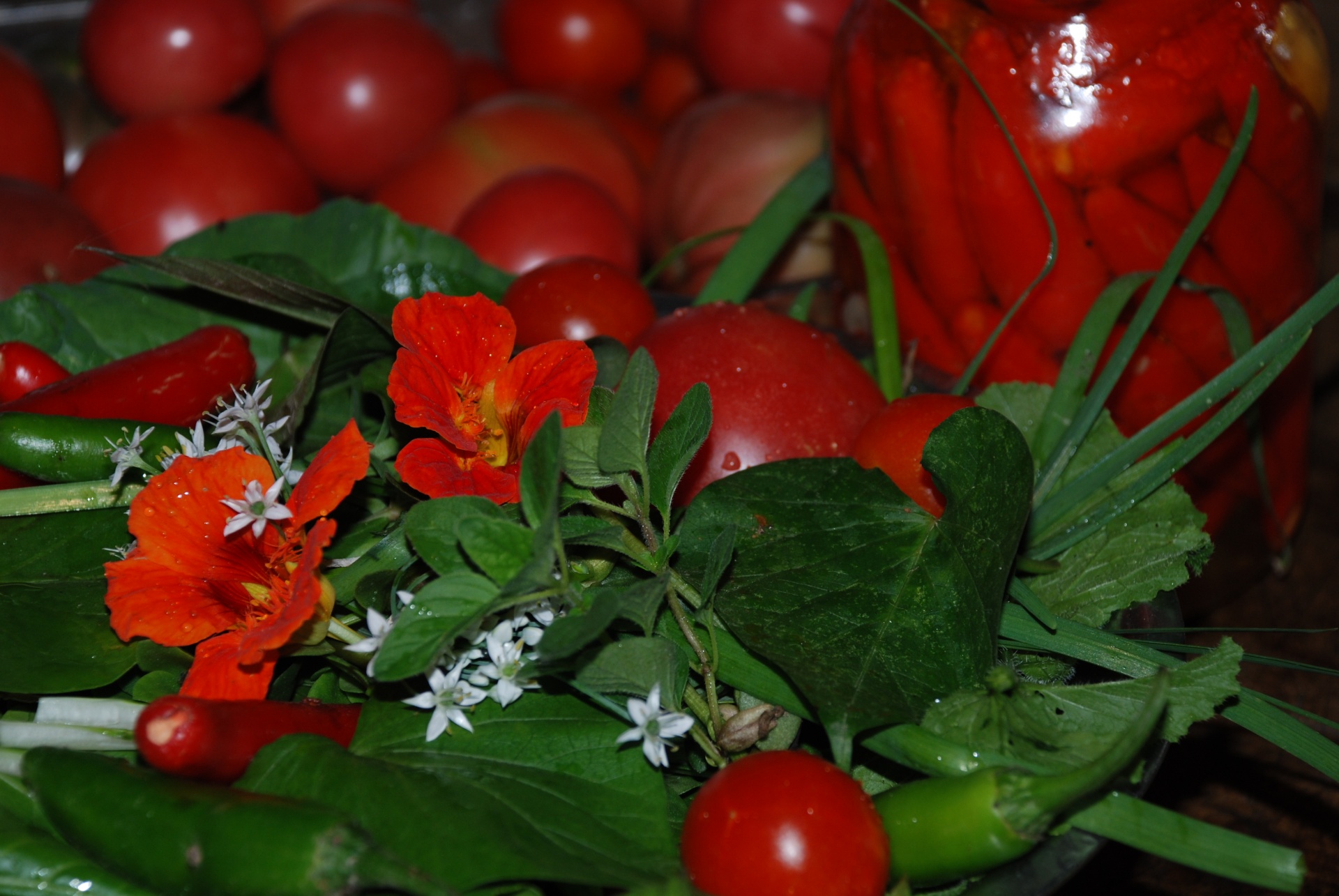 peppers tomatoes chives free photo