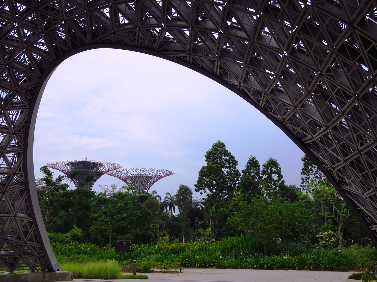 garden by the bay singapore marina free photo