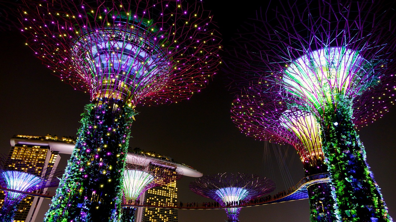 garden by the bay singapore night free photo