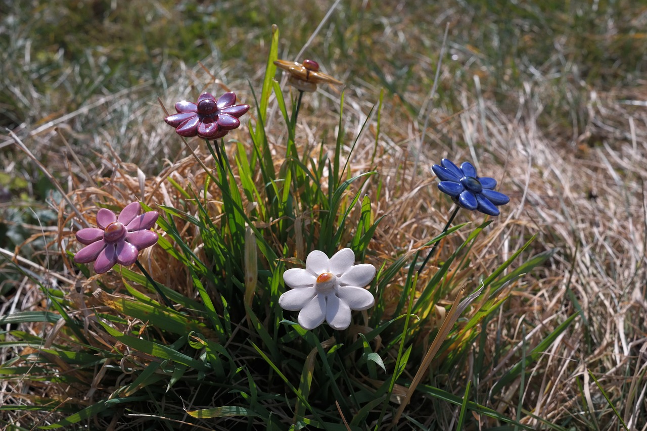 garden decoration gartendeko flowers free photo