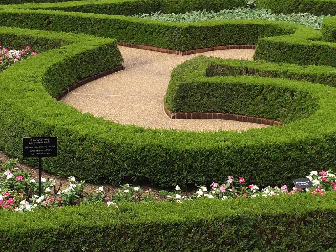 garden design curves maze free photo