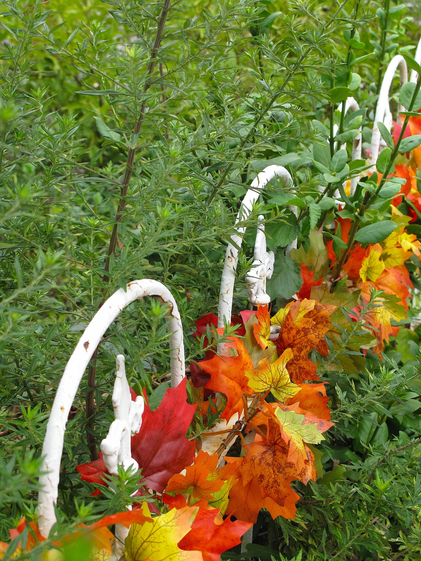 garden fence garden fence free photo