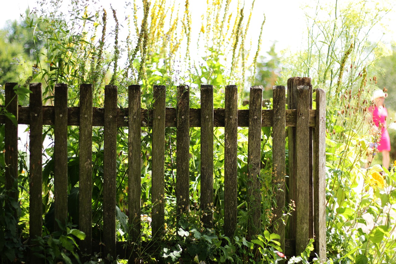 garden fence  fence  cottage garden free photo