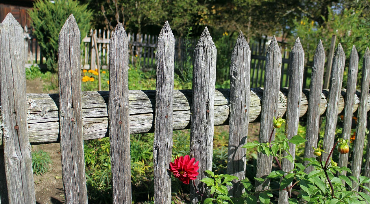 garden fence wood fence paling free photo