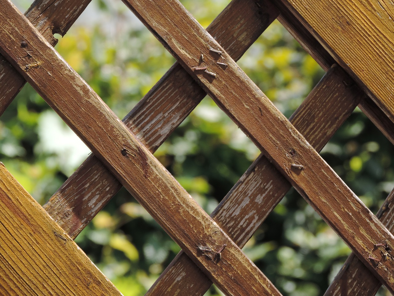 garden fence wooden slats wood free photo