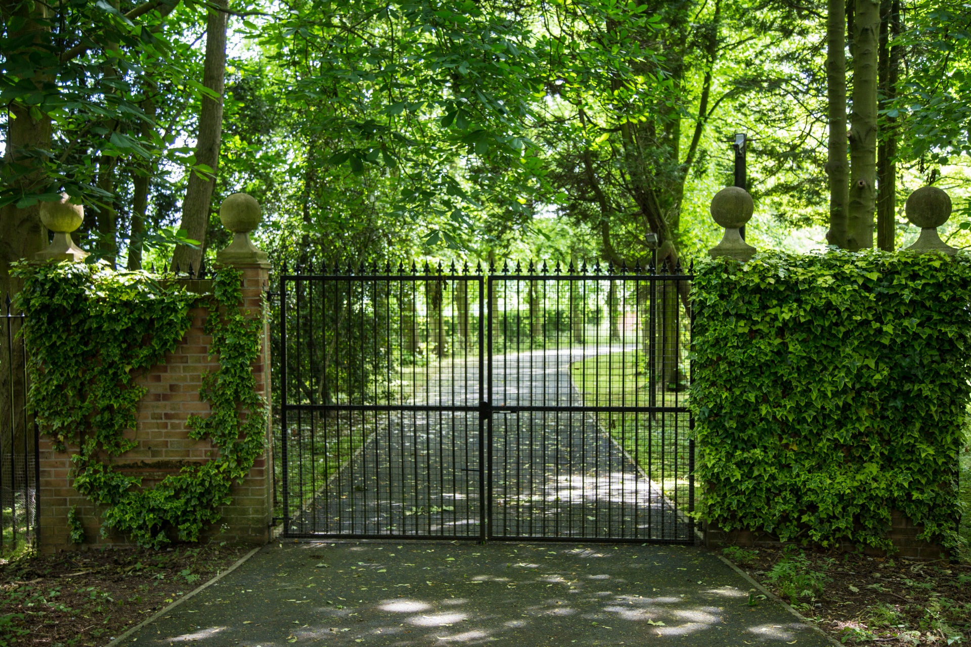 garden gate white free photo