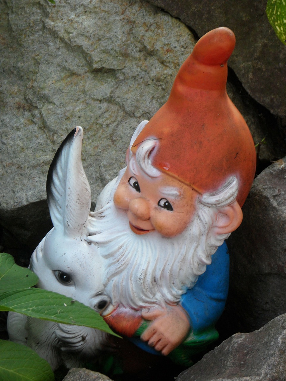 garden gnome dwarf garden figurines free photo