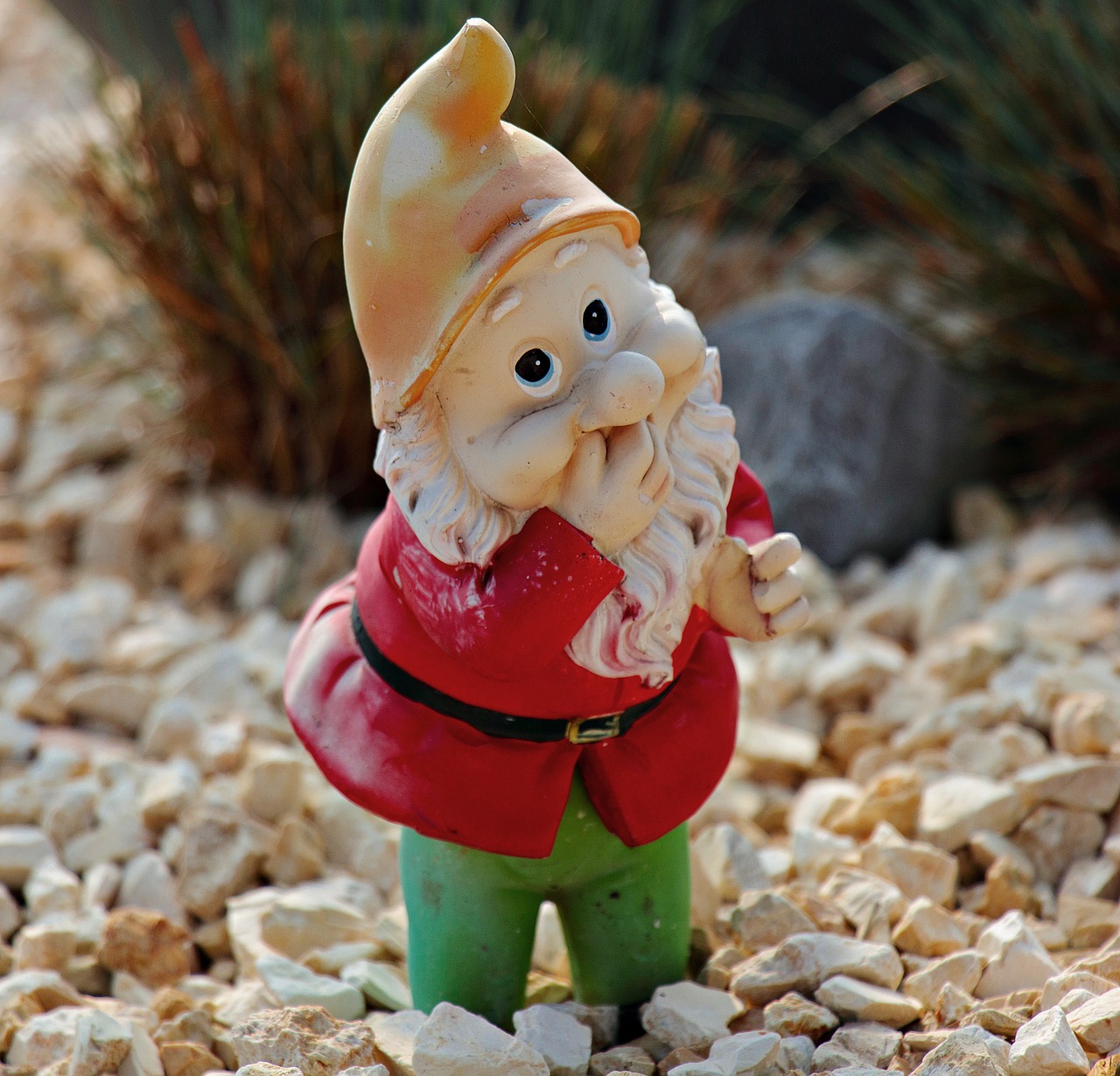 garden gnome dwarf decoration free photo