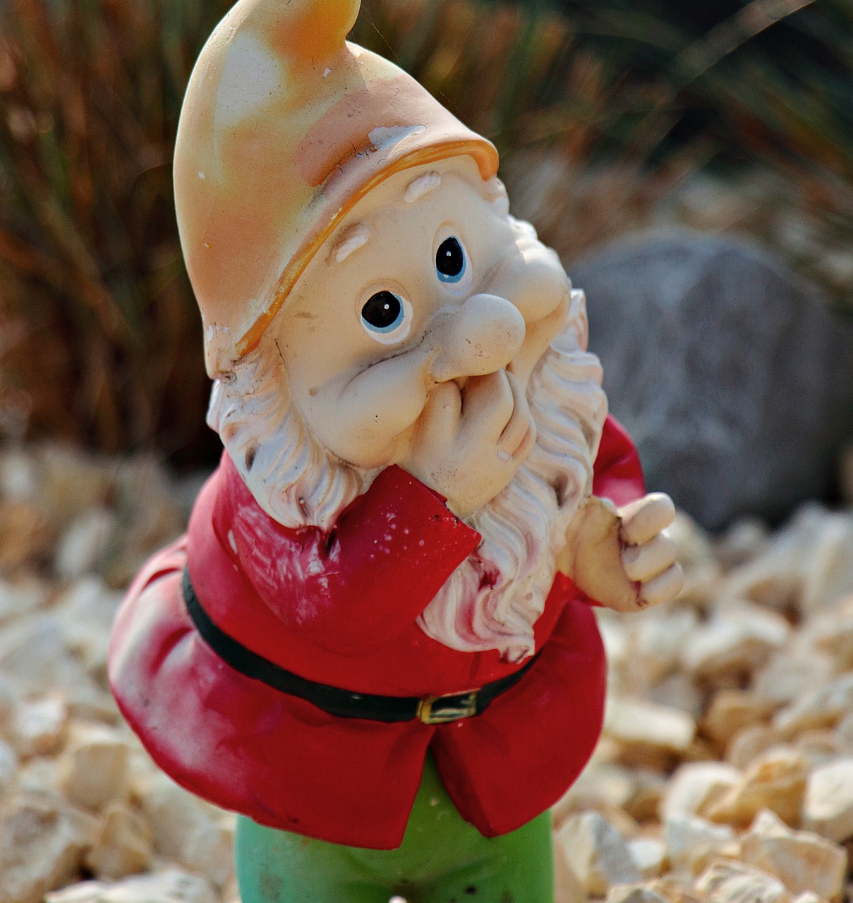 garden gnome dwarf decoration free photo