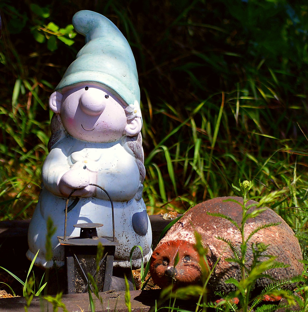 garden gnome dwarf woman hedgehog free photo