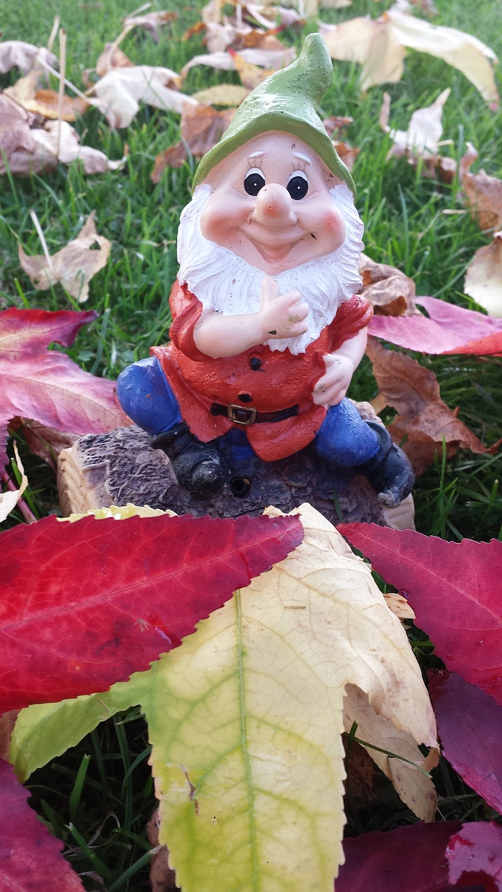 garden gnome dwarf autumn free photo