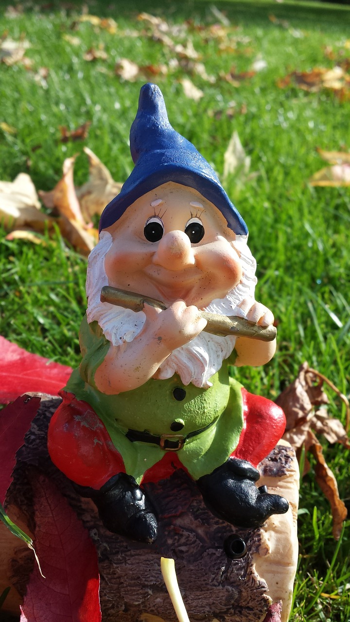 garden gnome dwarf autumn free photo